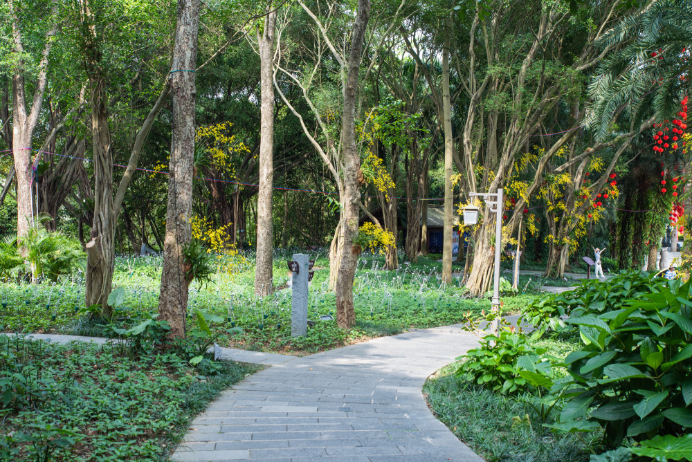 蓬莱门票最新价格,蓬莱景区票价最新揭晓