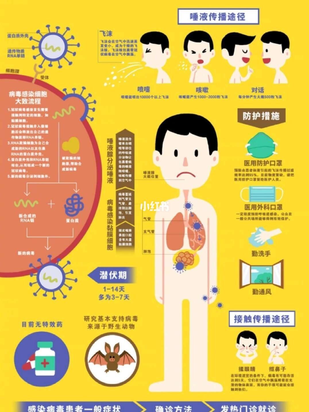 肺炎最新传播途径揭秘