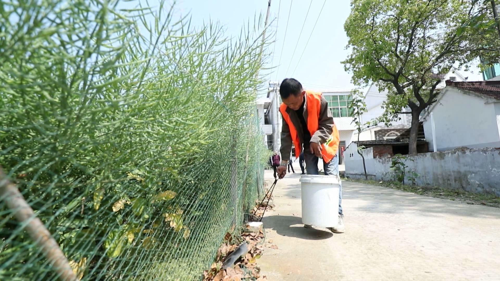 湖州菱湖地区最新职位招募汇总揭晓