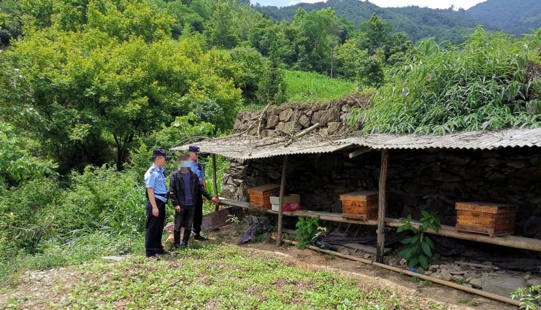 雷霆战机全新升级版：蜜蜂辅助系统震撼登场